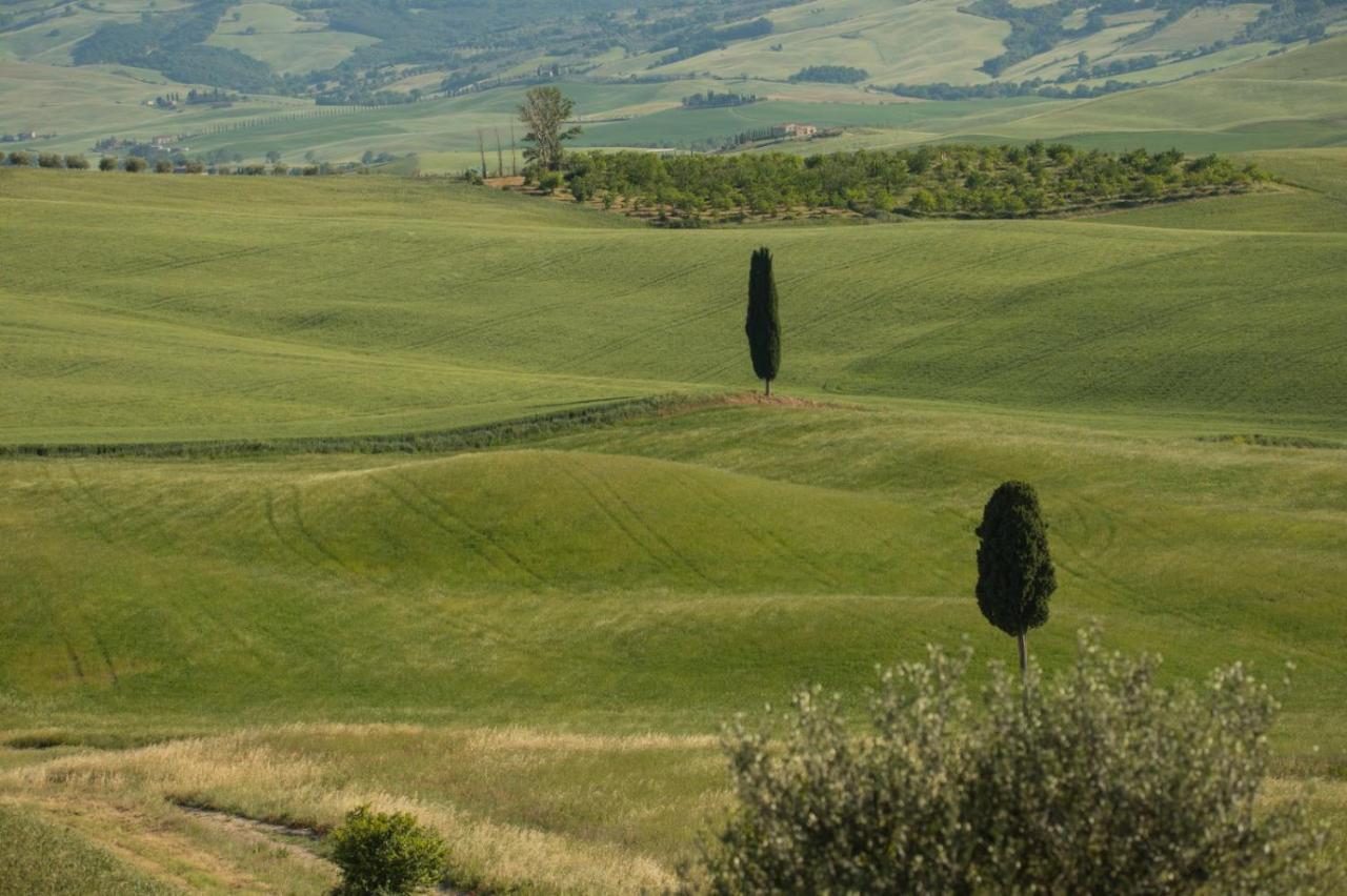 Agriturismo La Poderina Баньо-Віньоні Екстер'єр фото